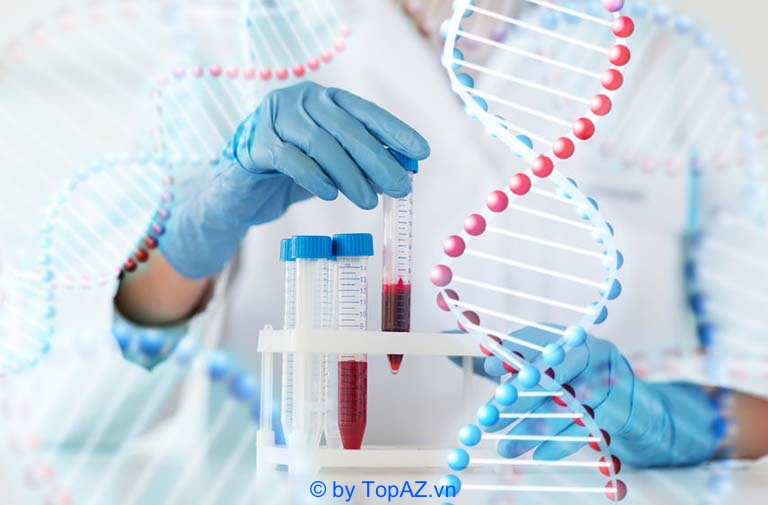 Địa chỉ xét nghiệm ADN uy tín tại Cần Thơ