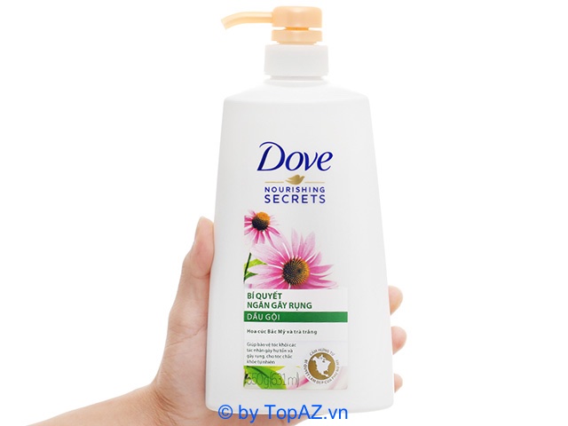 Dầu gội Dove ngăn rụng tóc không chỉ được ưa chuộng tại Việt Nam mà còn nhiều nước trên thế giới.