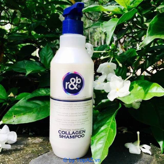 Thành phần của R&B Collagen Shampoo gồm Hydrolyzed Collagen, Pro-Vitamin B5, Protein từ gạo, Hydrolyzed Silk,...