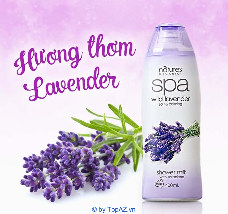 Sữa tắm oải hương thư giãn SPA wild lavender được chiết xuất từ các thành phần tự nhiên nên rất an toàn cho da