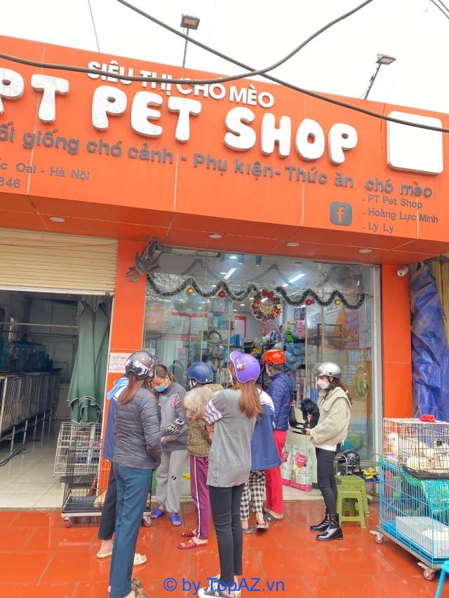 Địa chỉ bán chó Golden tại Hà Nội