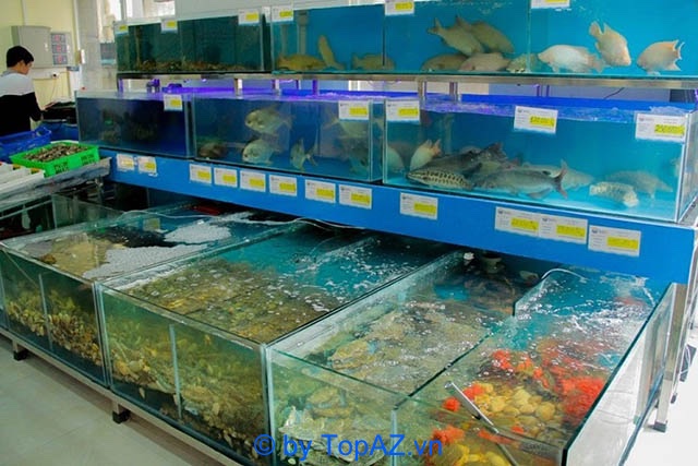 Địa chỉ bán hải sản tươi sống tại Hà Nội