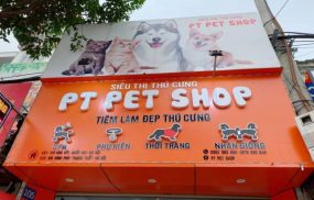 địa chỉ mua chó Corgi tại Hà Nội