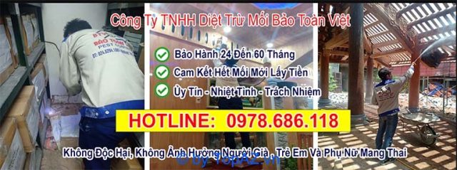 Công ty Bảo Toàn Việt