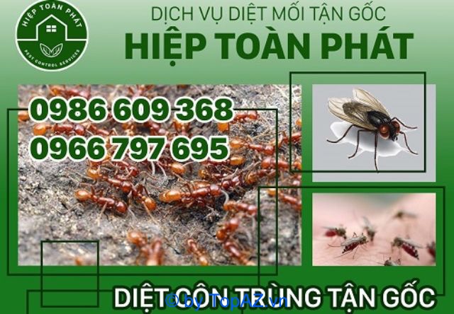Công ty Hiệp Toàn Phát cũng là đơn vị cung cấp dịch vụ diệt mối, diệt côn trùng chuyên nghiệp tại TPHCM