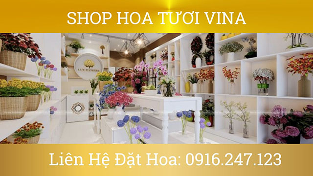 Shop hoa tươi tại quận Bình Thạnh TPHCM đẹp nhất giao hoa nhanh, hoa tươi vina