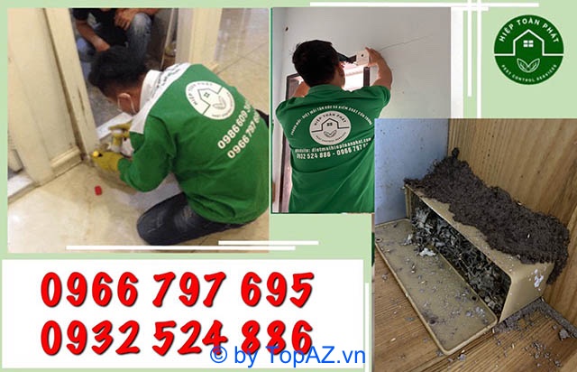Review Diệt mối uy tín tại quận 1, quận 3 tốt nhất