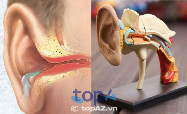 Bác sĩ chữa viêm tai giữa giỏi tại Hà Nội 