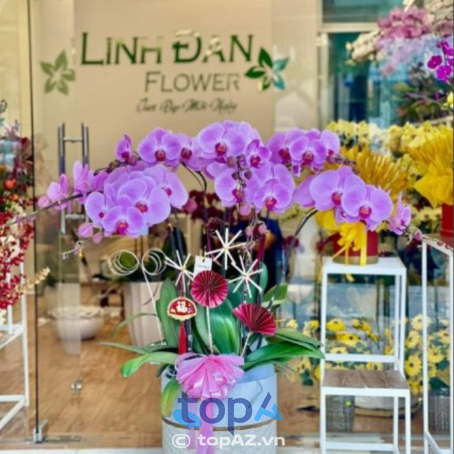 cửa hàng bán hoa lan hồ điệp tại Hoàn Kiếm