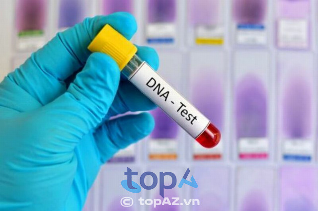 xét nghiệm ADN ở TPCHM 