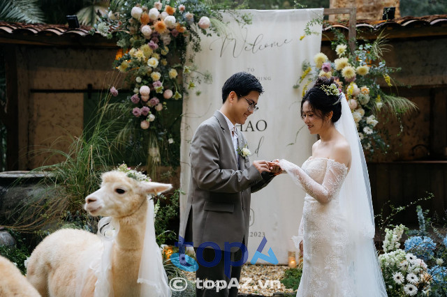 J'may Wedding & Events Đà Lạt