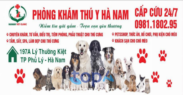 Phòng khám thú y Hà Nam - HaNam Vet Clinic