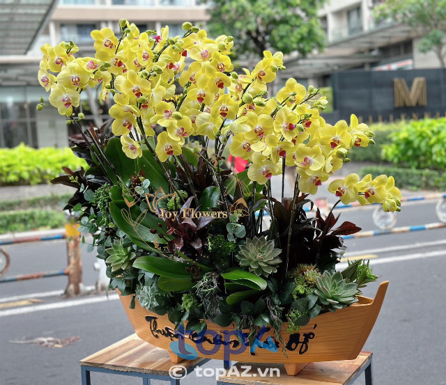 Joy Flowers Orchids Premium - Lan Hồ Điệp Cao Cấp quận 4