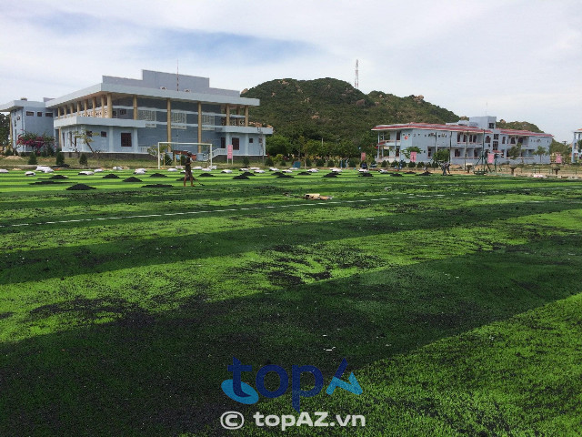 Địa chỉ bán thảm cỏ nhân tạo tại Hà Nội giá rẻ