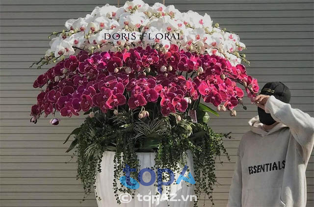 Doris Floral cửa hàng hoa lan hồ điệp tại quận 5 
