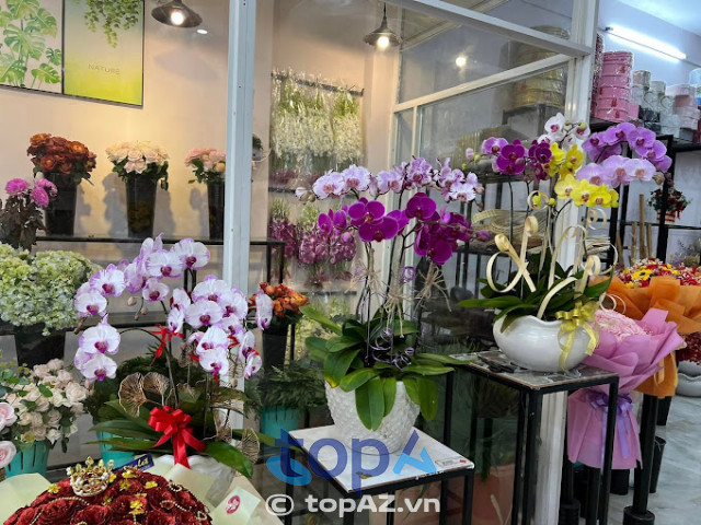 Violet Flower Shop Kiên Giang