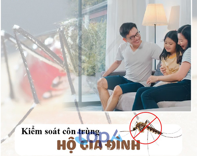 Công ty diệt côn trùng Xuyên Việt Group Hà Nội