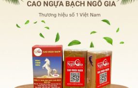 Cao ngựa Ngô Gia Hà Nội