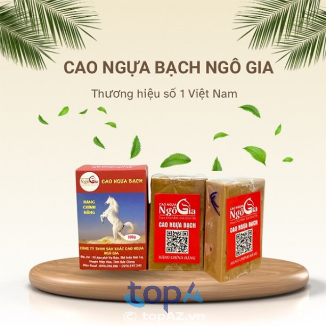 Cao ngựa Ngô Gia Hà Nội