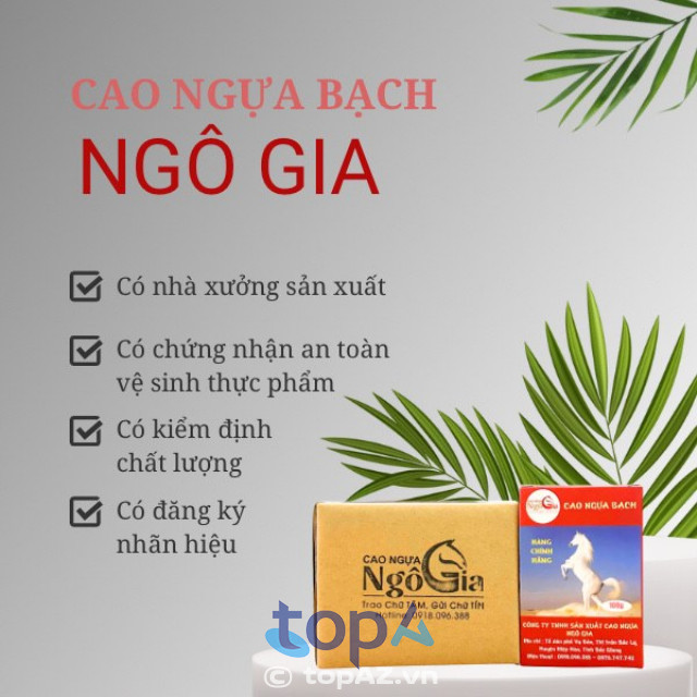 Cao Ngựa Bạch Hà Nội