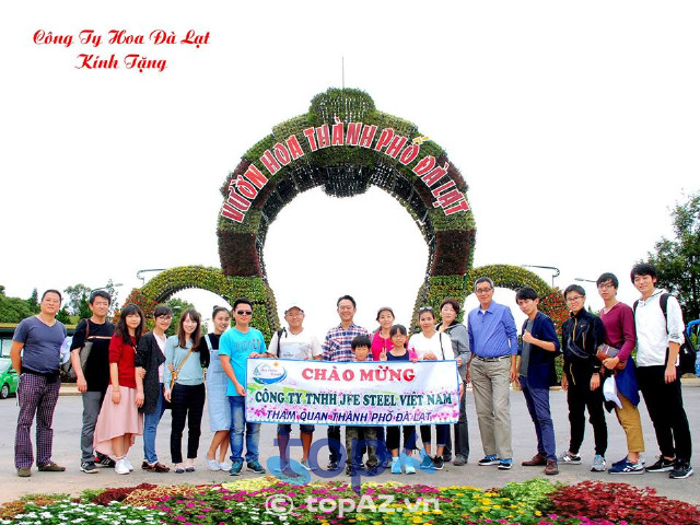 Hoa Dalat Travel