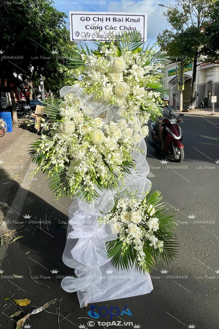 Lala Flower - Shop hoa tươi Buôn Ma Thuột Dak Lak