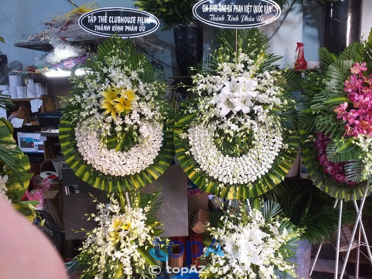 Bean Flowers, Hải Phòng