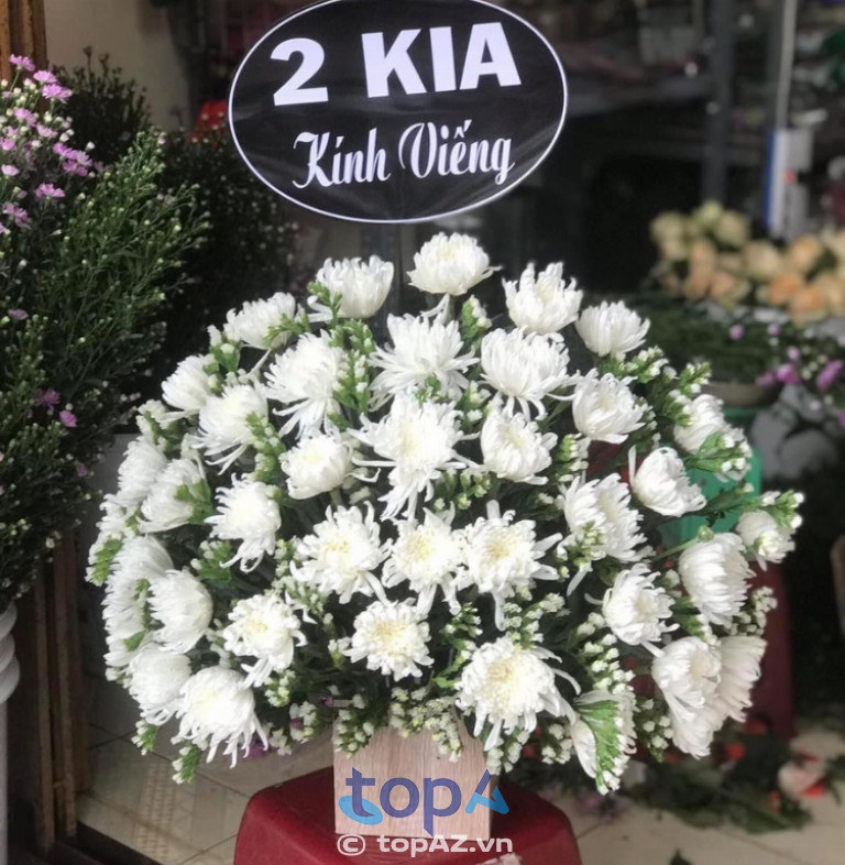  Shop hoa Muội Muội TP. Tuy Hòa