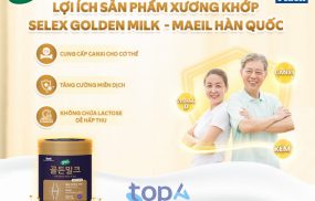 Selex Golden Milk Hàn Quốc