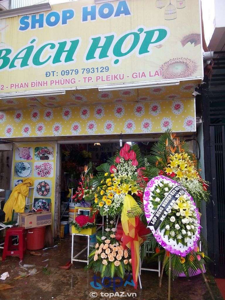 Shop Hoa Bách Hợp tại TP. Pleiku