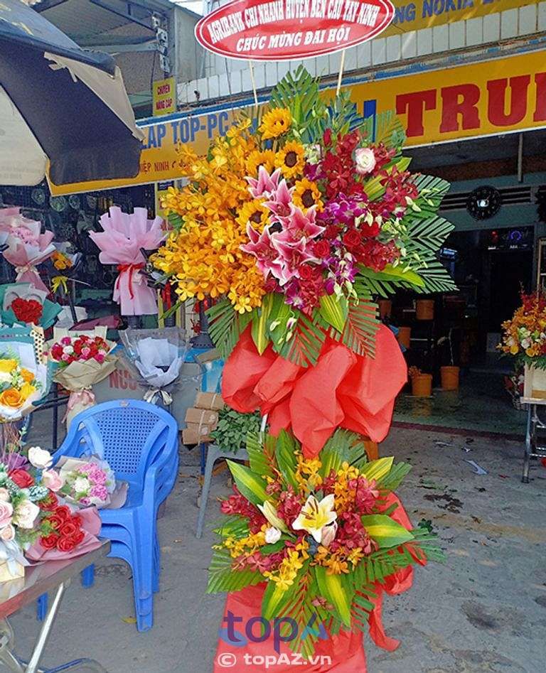 Shop Hoa Trà Vinh 