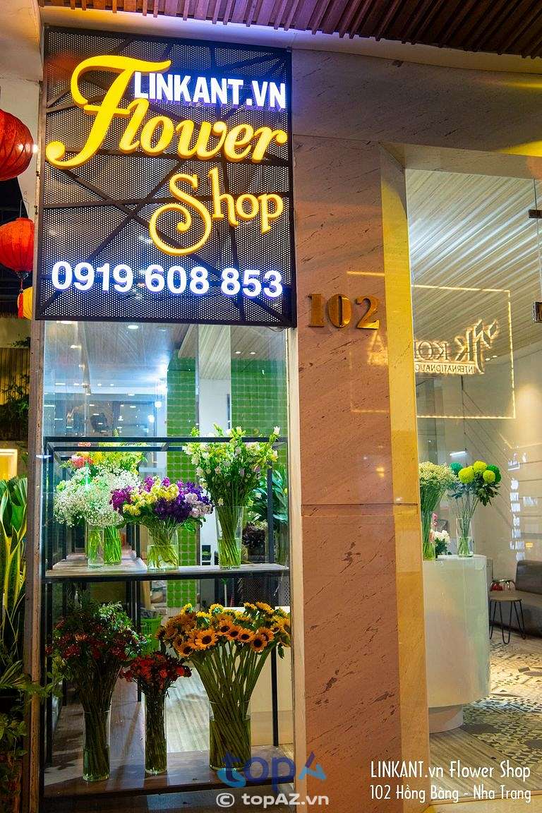 Shop LinkAnt tại TP. Nha Trang