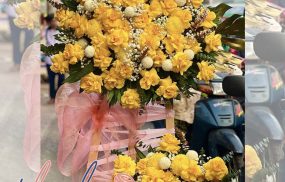 Shop hoa tươi quận bình thạnh