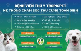 phòng khám thú y Hà Nội