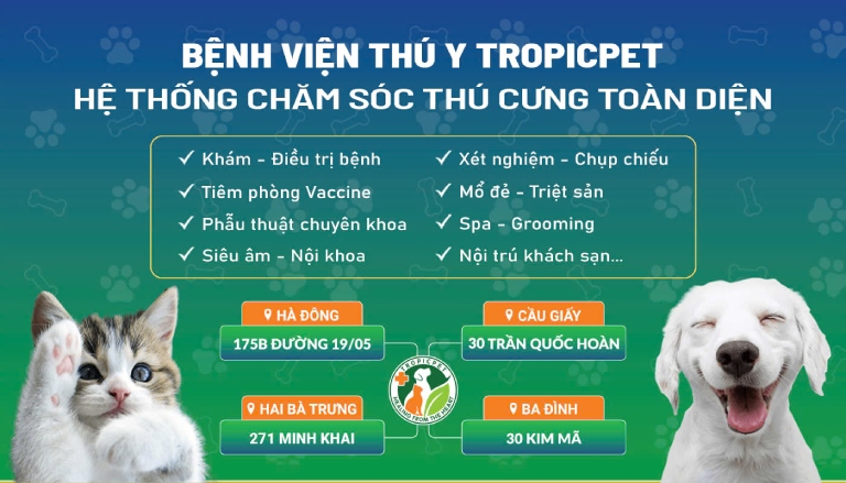 Bệnh Viện Thú Y Tropicpet Hà Nội Bệnh Viện Thú Y Tropicpet Hà Nội