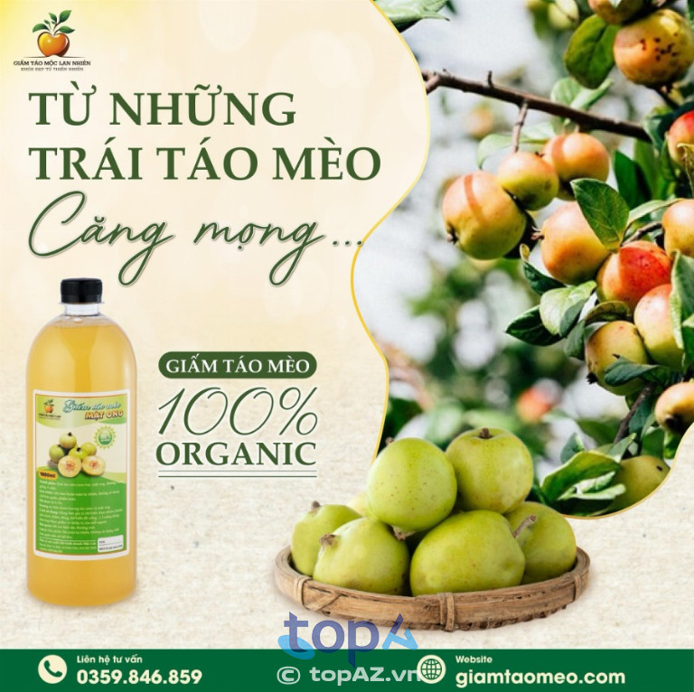 Giấm táo mèo mộc an nhiên