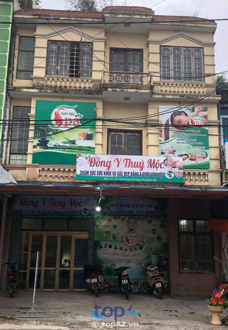 Liệu pháp gội đầu dưỡng sinh tại Thủy Mộc Spa sử dụng thảo dược thiên nhiên an toàn