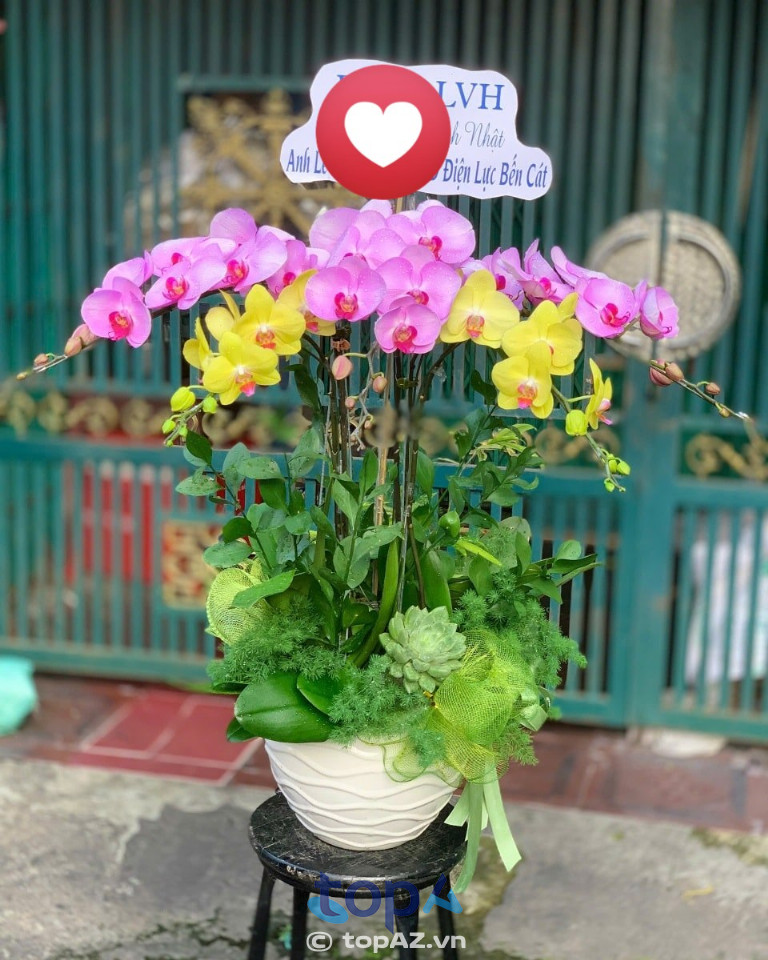 Hoa Tươi Bích Tuyền