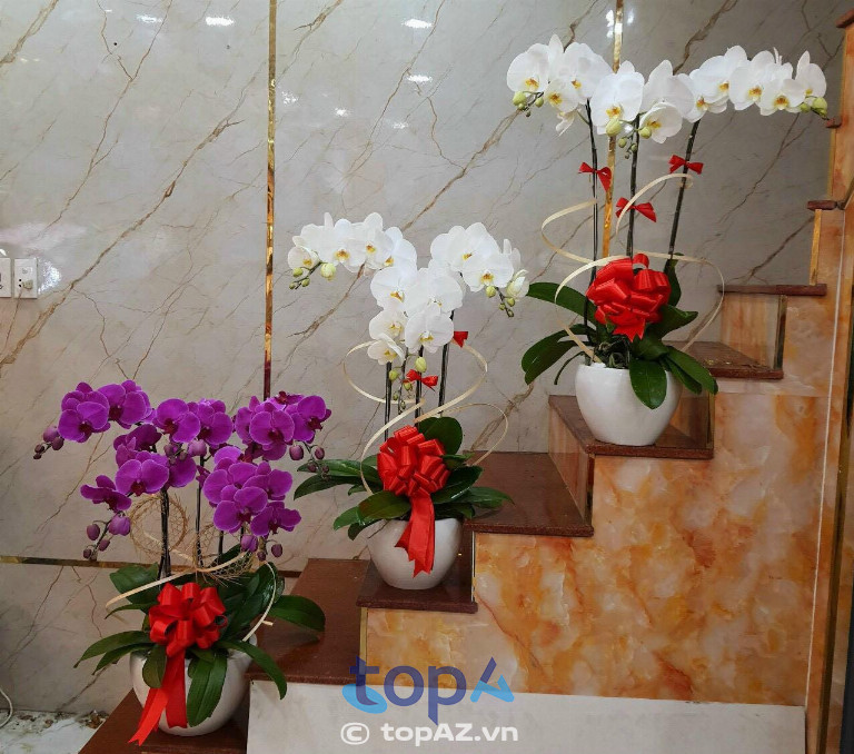 Hoa tươi Ngân 1996