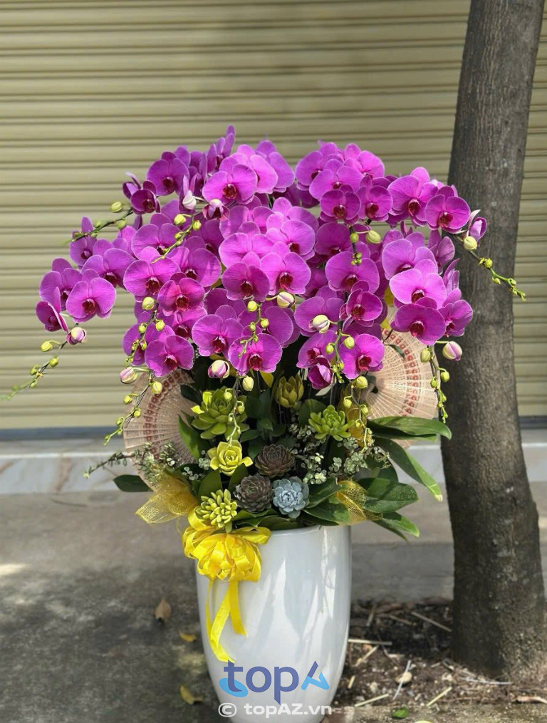 Hoa Tươi Anh Em