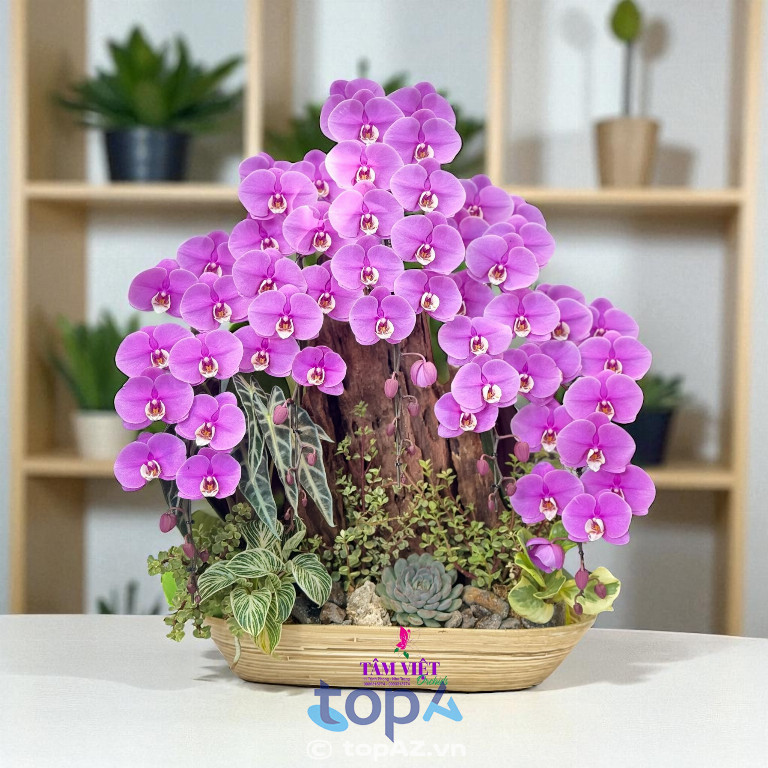 Tâm Việt Flowers