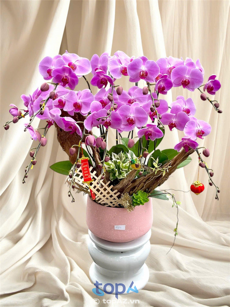 Peony Florist