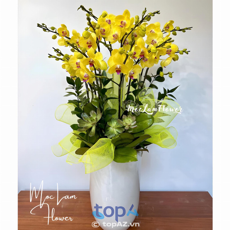 Mộc Lam Flower