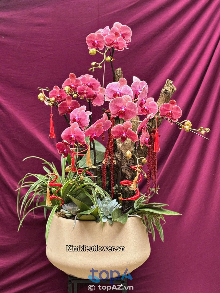 Kim Kiều Flower