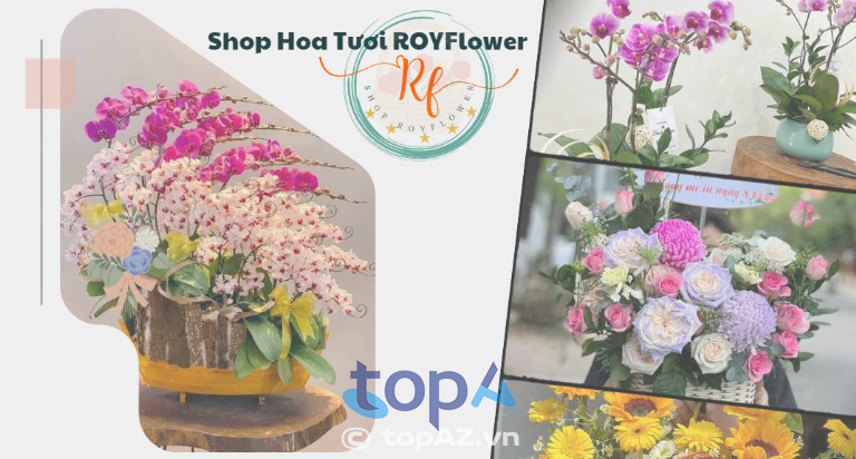Hoa Tươi Roy Flower