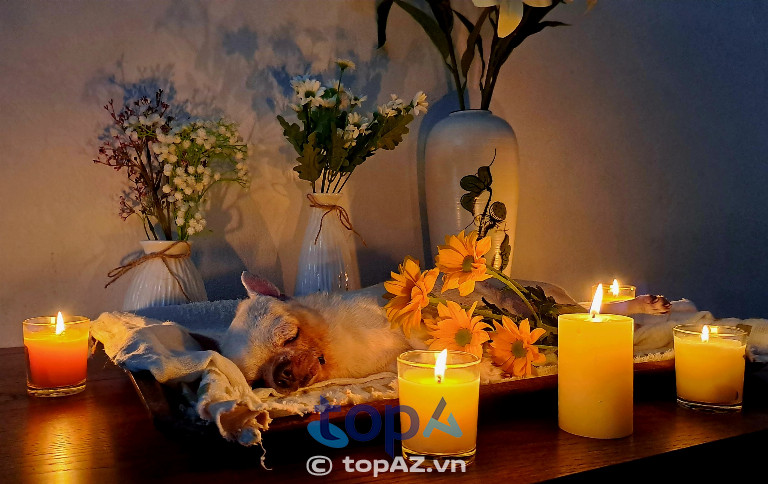 Lưu giữ kỷ vật lưu niệm
