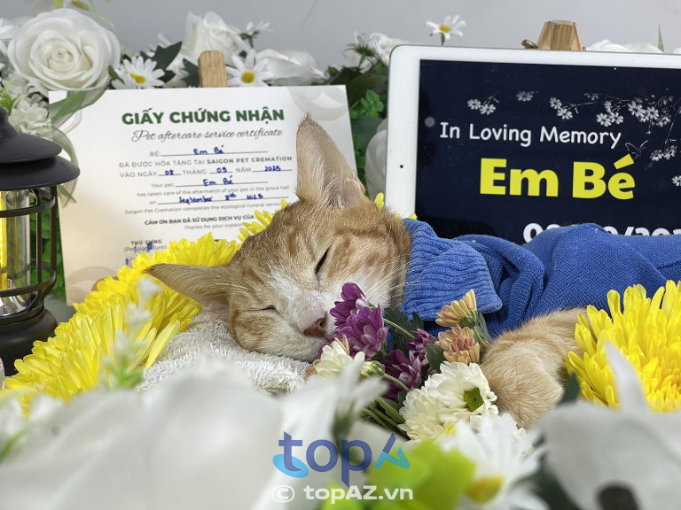 Saigon Pet Cremation