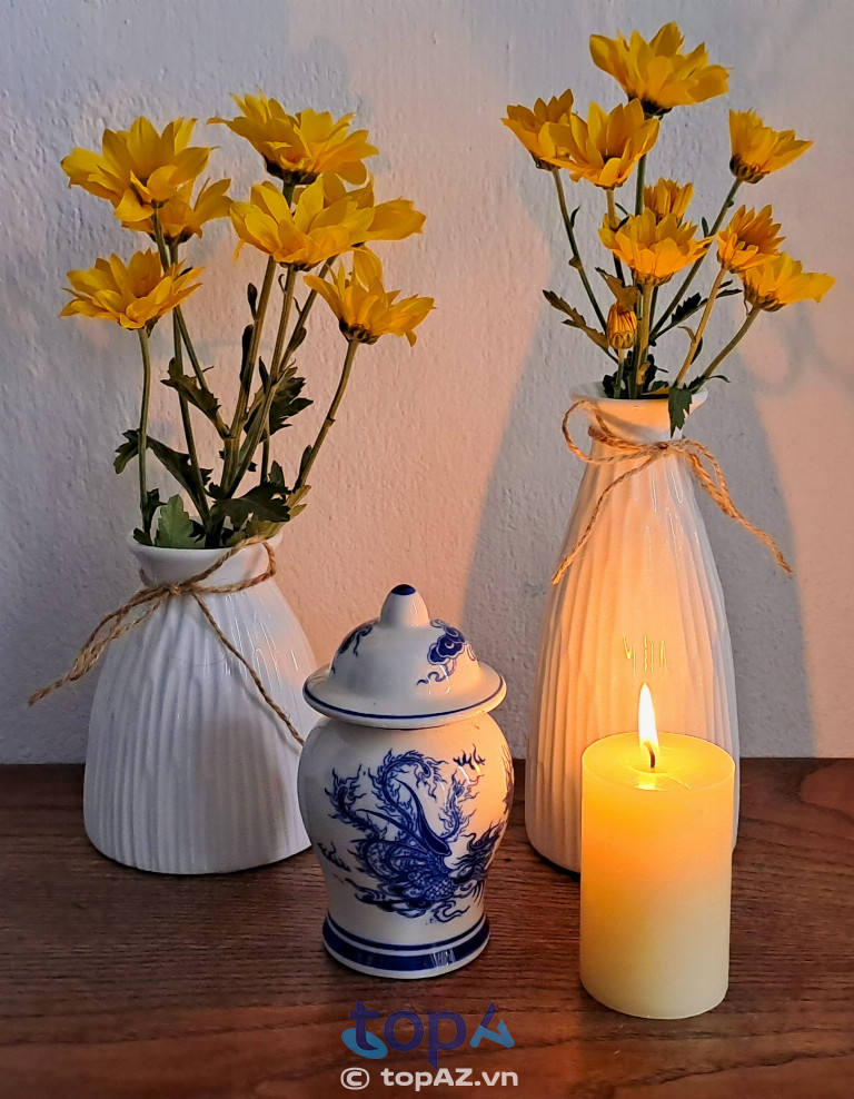 Phòng Khám Thú Y Thi Thi