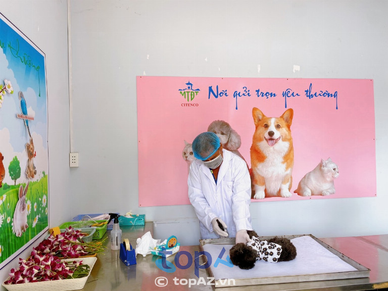 Hỏa Táng Thú Cưng (Trung Tâm Hoả Táng Bình Hưng Hoà)
