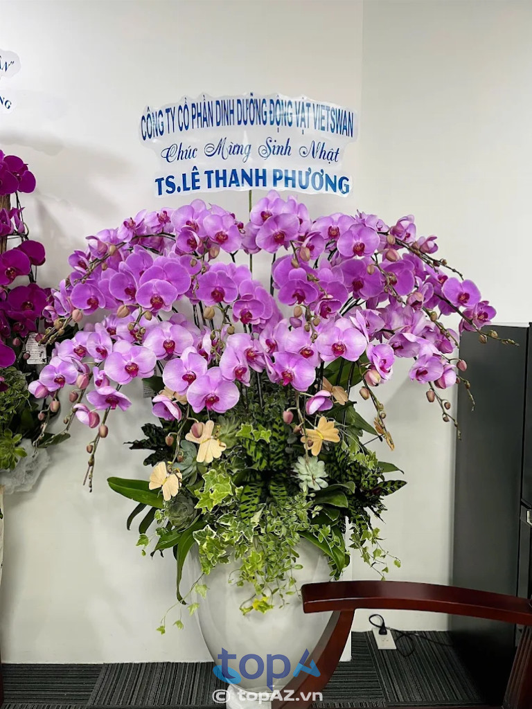 Chậu lan hồ điệp floli đà nẵng đẹp uy tín nhất